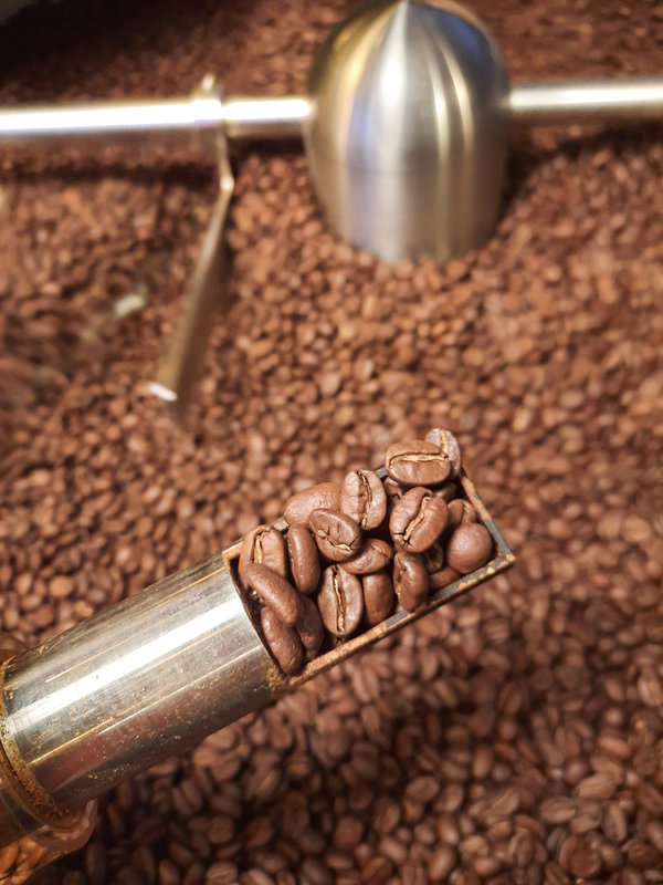 Hofkaffee perfekt für Vollautomaten Bio & Fairtrade 500g Spengler NaturRösterei